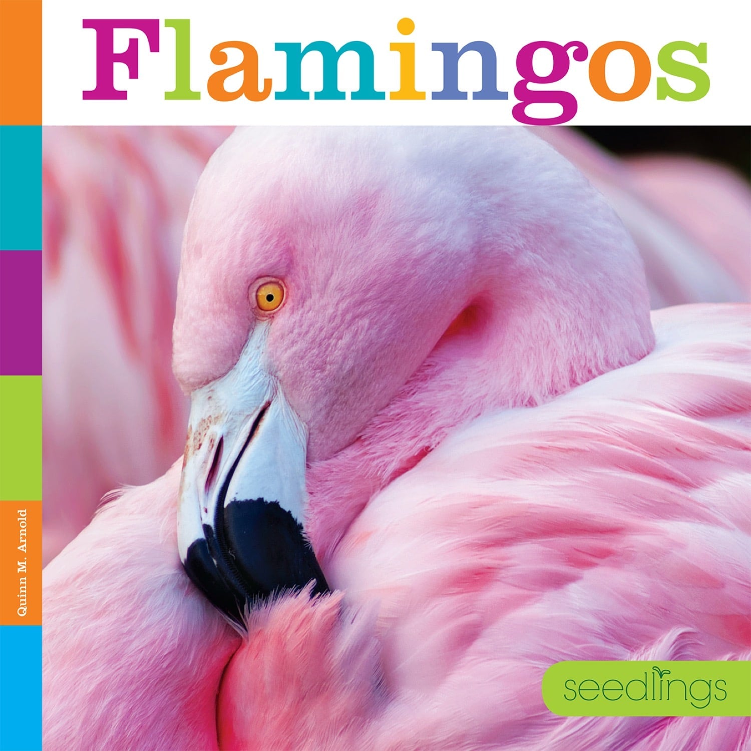 Seedlings: Flamingos by The Creative Company