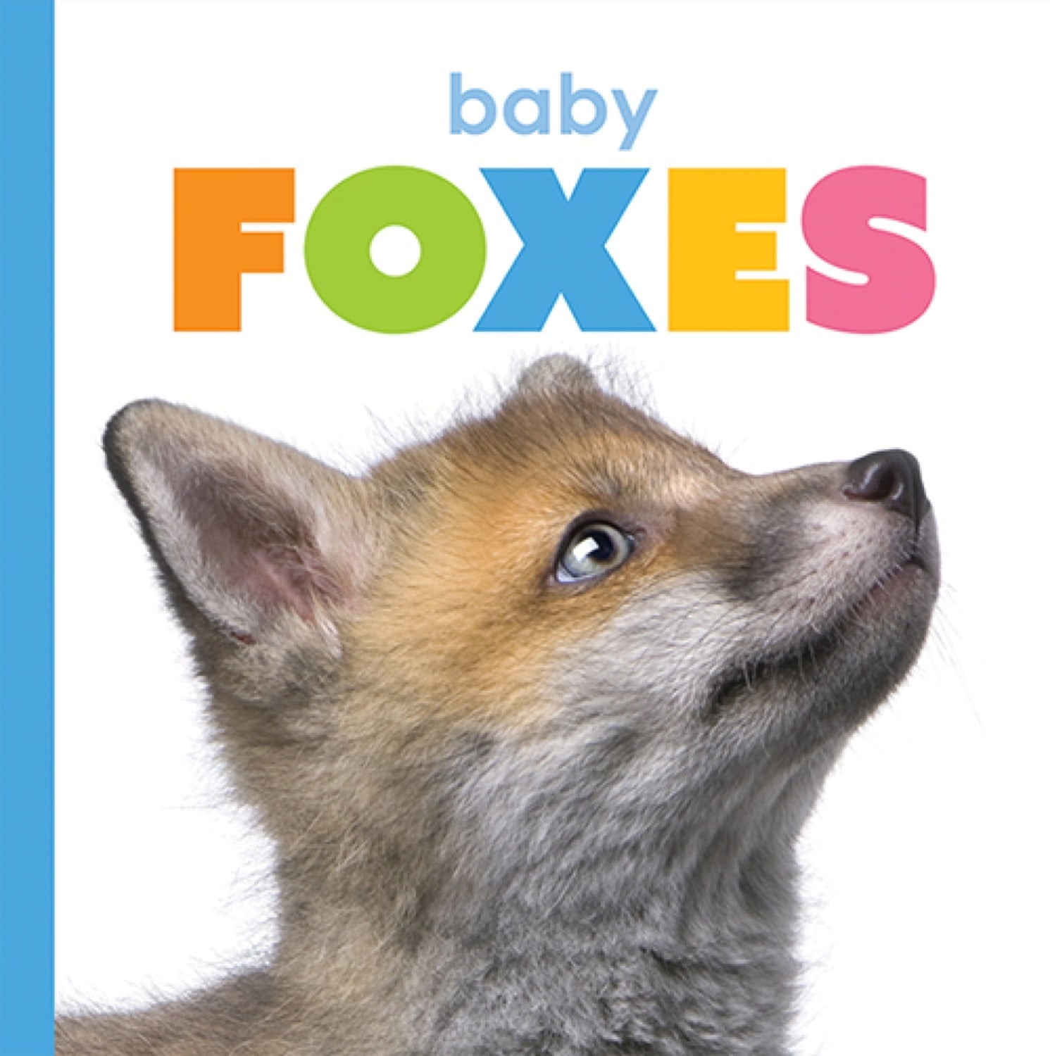 Starting Out: Baby Foxes by The Creative Company