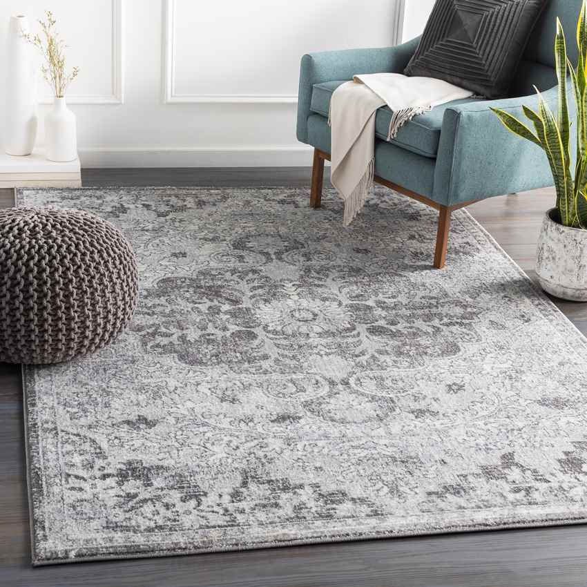 Cenon Traditional Gray/White/Charcoal Area Rug