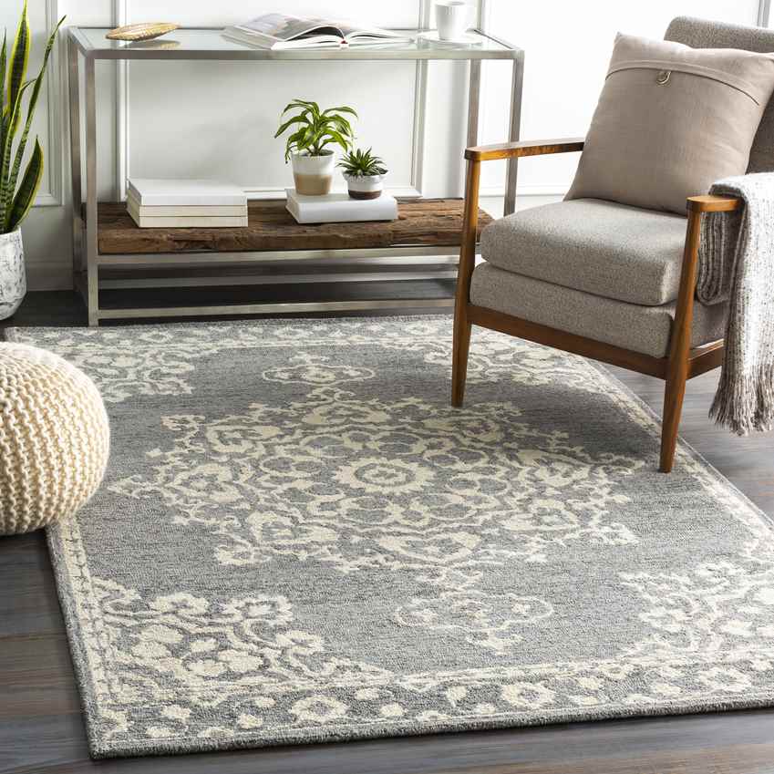 Witveen Traditional Medium Gray Area Rug