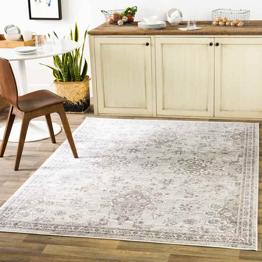 Woudsend Traditional Light Gray Area Rug