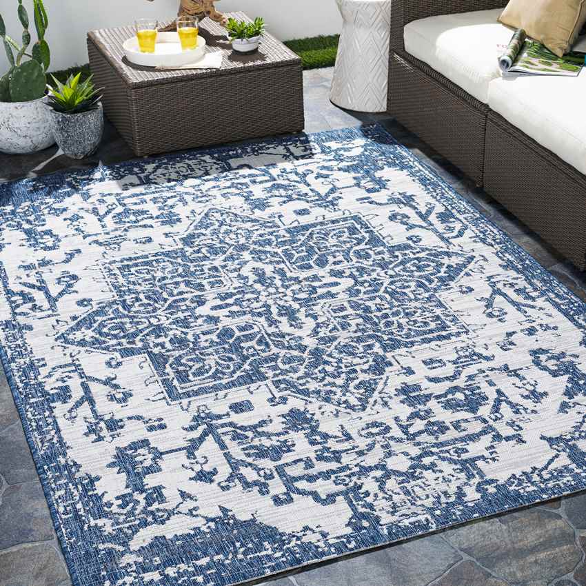 Appelscha Traditional Denim Area Rug