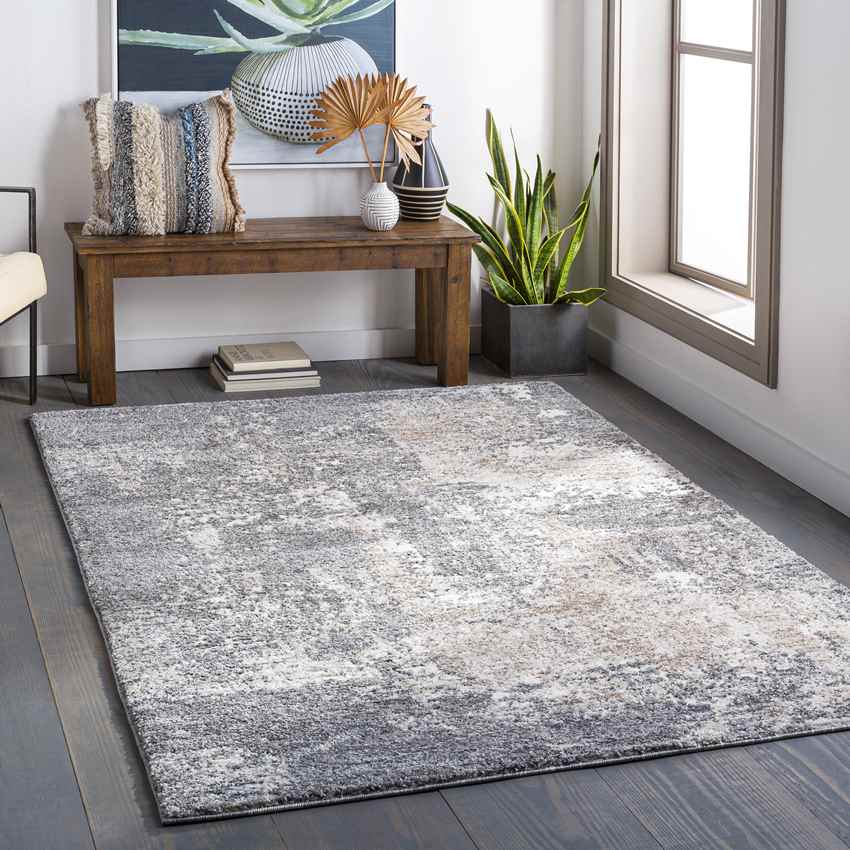 Oosterzij Modern Medium Gray Area Rug