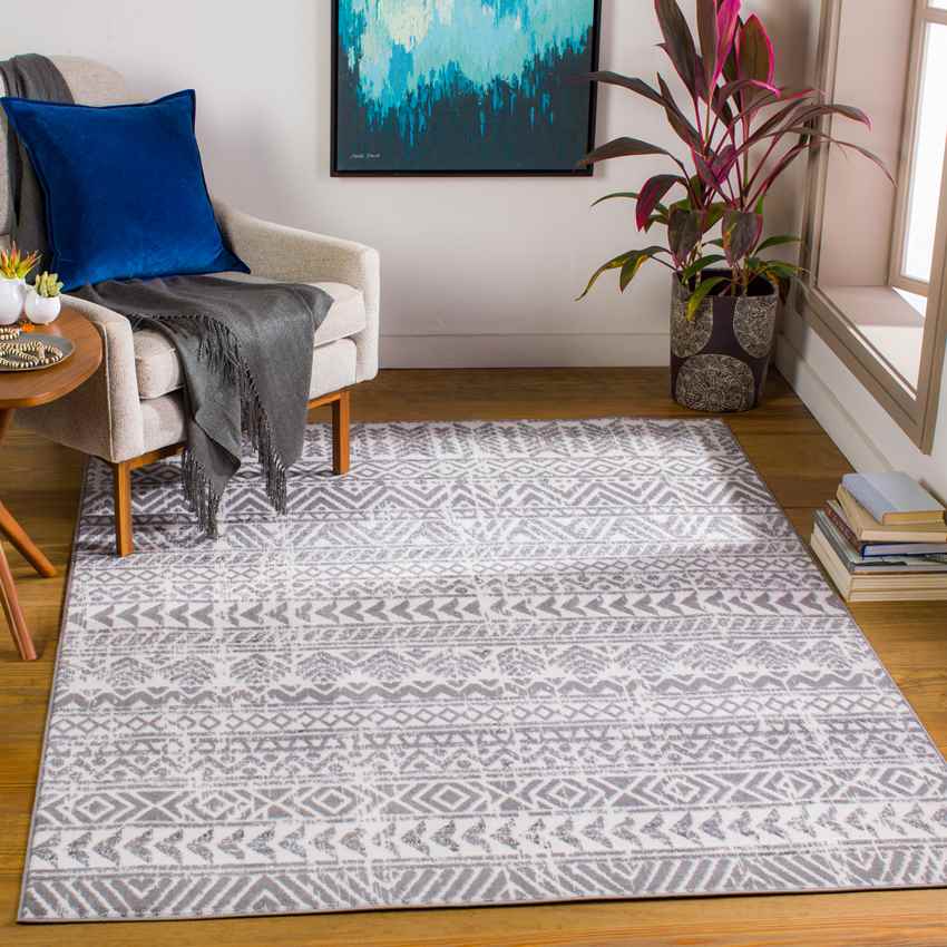 Bergeijk Global Medium Gray Area Rug