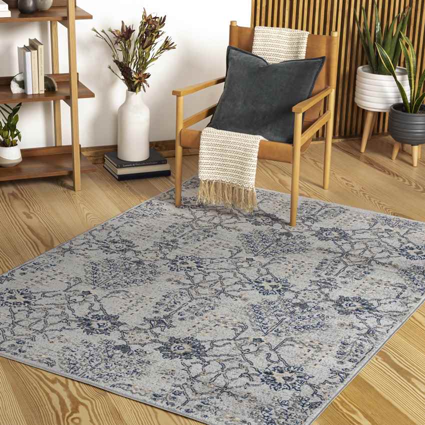 Berkeind Traditional Grey Area Rug