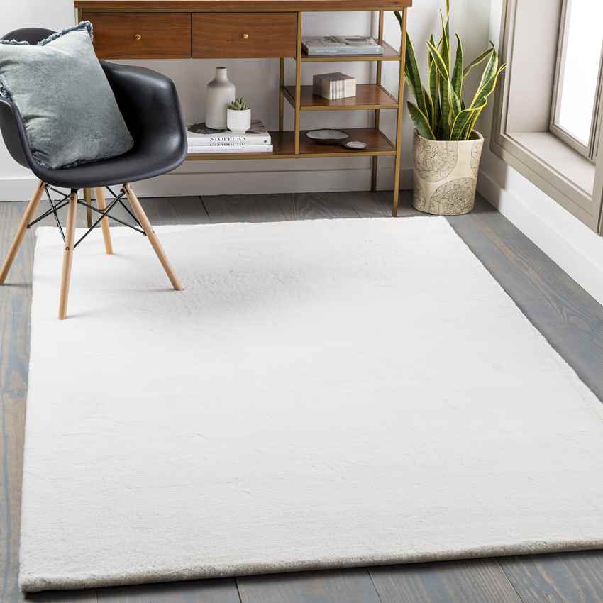 Casteren Modern Ivory Area Rug