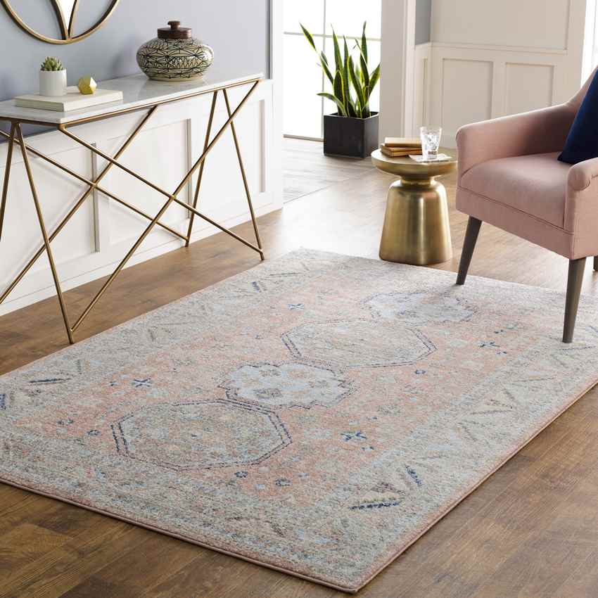 Fribourg Traditional Coral Area Rug