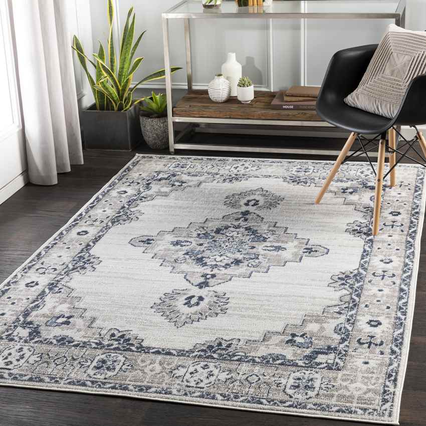 Bedum Traditional Light Gray Area Rug