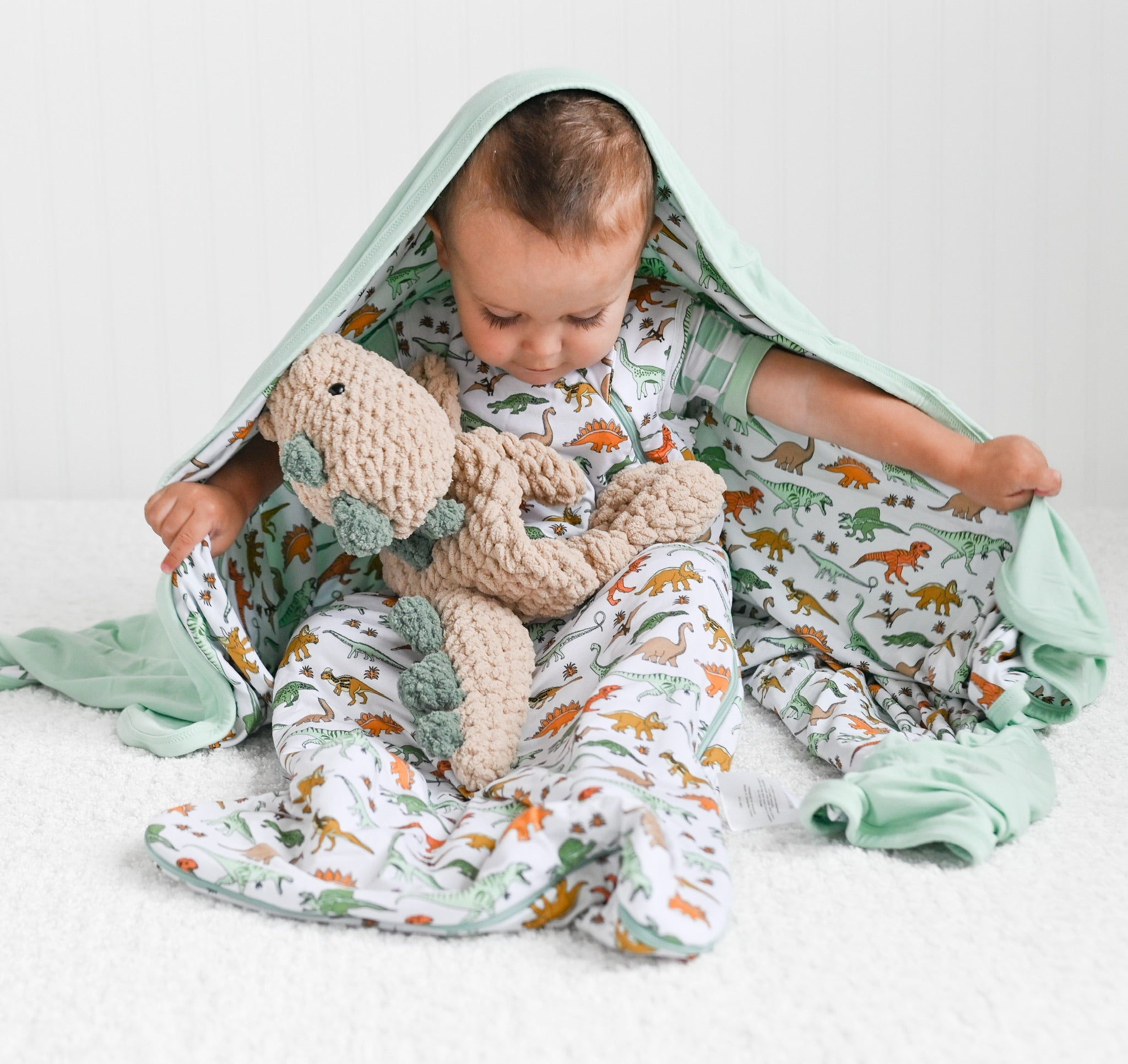 Dinosaur Dream Sleep Sack