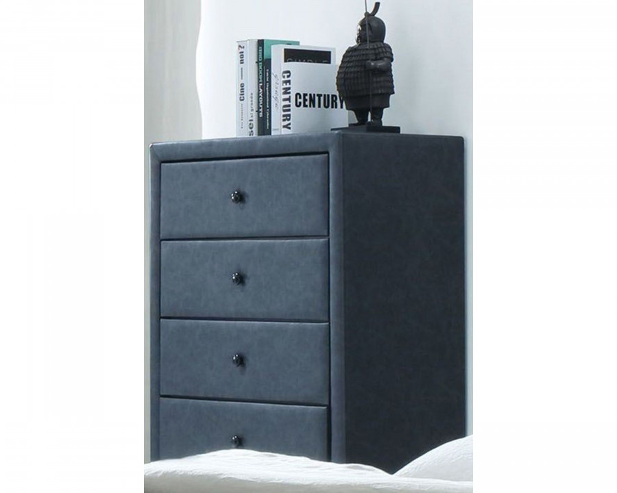 ACME – Saveria Chest in Gray