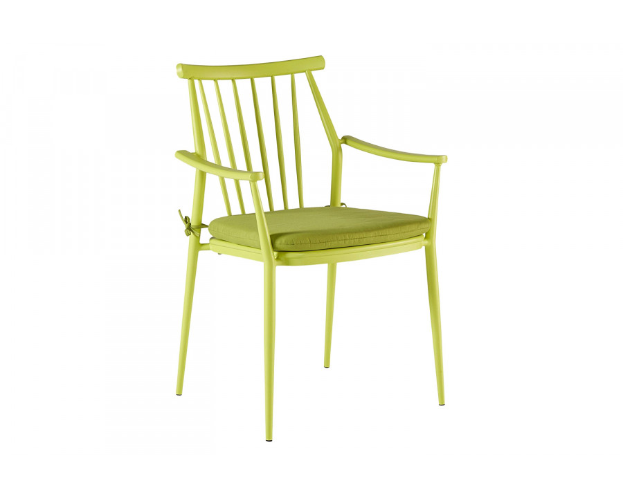 A.R.T. – Epicenters Austin Paint Green Darrow Outdoor Arm Chair Set of 2