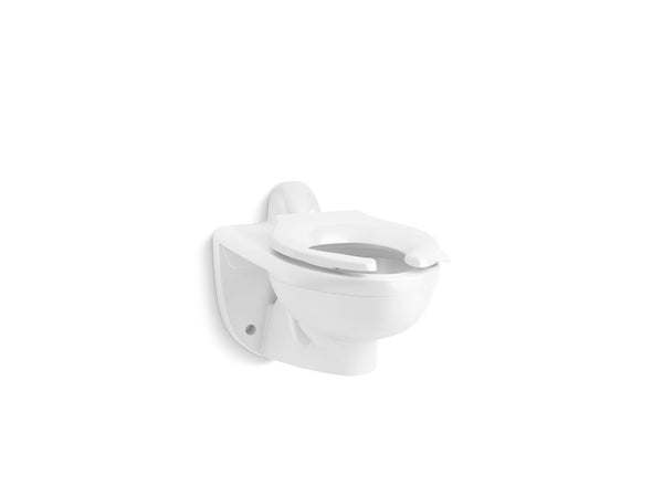 Kingston™ Ultra Wall-mounted rear spud flushometer bowl with bedpan lugs